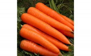 Морковь Королева осени 100 гр